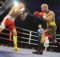 Boxeo profesional: el mirandés Kevin Baldospino ataca a Eduardo Cobos en el Iradier Arena de Vitoria Gasteiz
